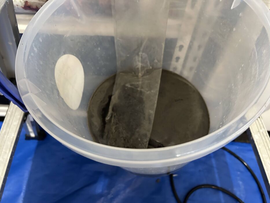 画像1396